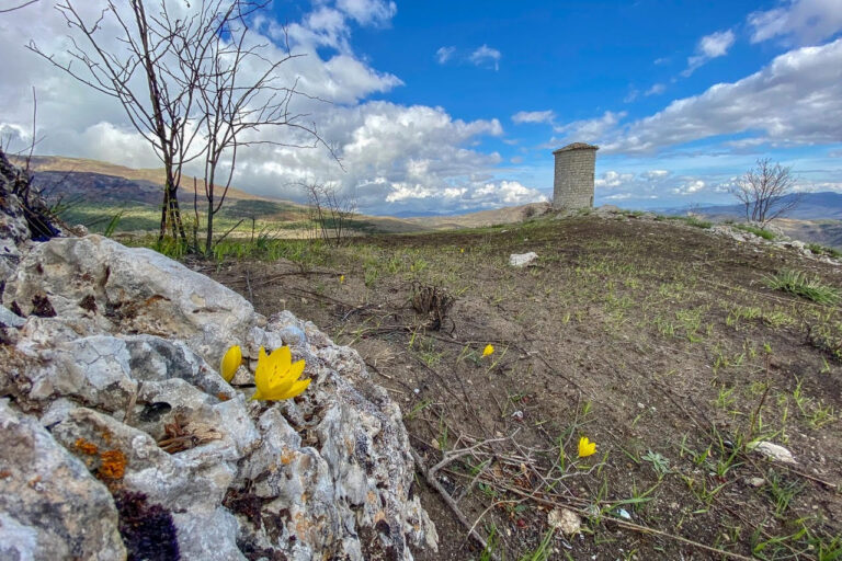A Petralia Soprana il seminario “Accesso alla terra: strumento per il territorio, per il sociale, e per l’agricoltura”