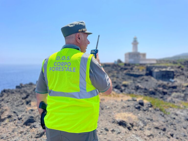 Roghi, Corpo Forestale ne rileva 3.757 nell’isola dal 15 maggio ad oggi