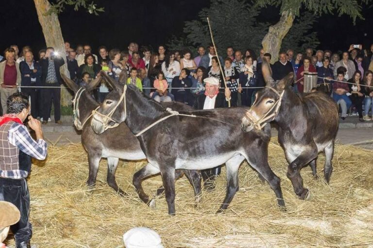 “Pani, Dolci e tanto altro…”: San Mauro Castelverde vi accoglie tra tradizione e sapori