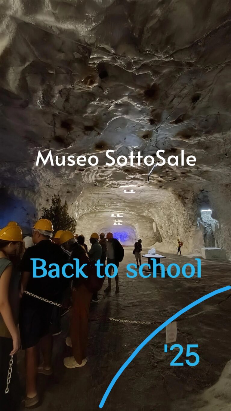 SottoSale Back to school!