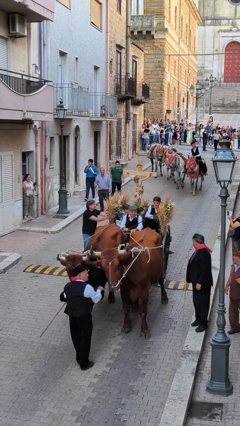 Manifestazione equestre a Montemaggiore Belsito