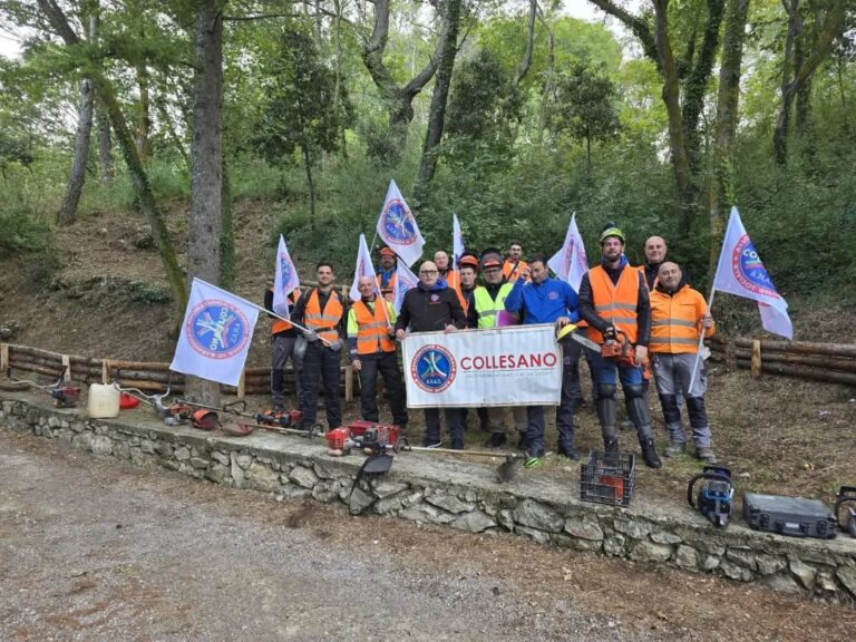 Petralia Sottana, concluso un corso per l’abilitazione all’utilizzo dei mezzi meccanici come decespugliatore e motosega taglia siepe