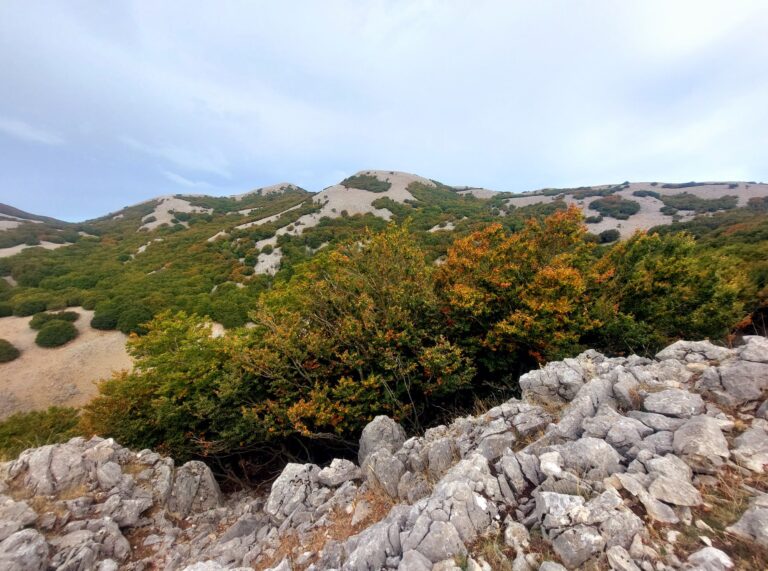 “Le Madonie: un parco da raccontare” a Collesano