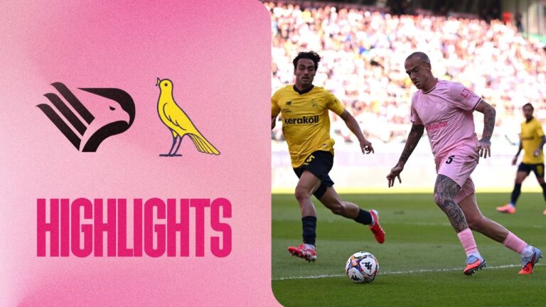 Palermo-Modena finisce 1-1 e niente sorpasso