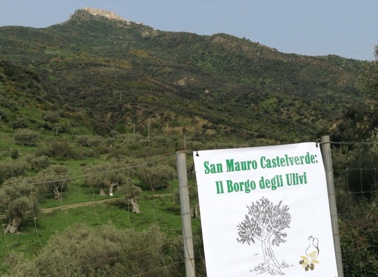 San Mauro Castelverde coltiva la pace nella 9ª Giornata Nazionale della “Camminata tra gli Olivi”