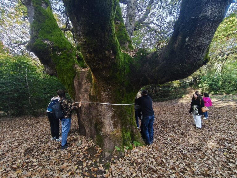 Parco delle Madonie, campagna dimostrativa del progetto “Gemma”