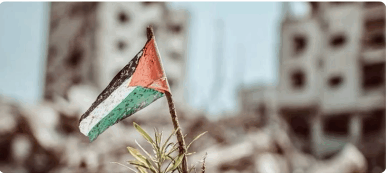 Gratteri per la Palestina: “Non è il tempo del silenzio”