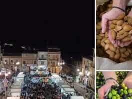 Tutto pronto per la quarta edizione della Sagra dell’olio extravergine d’oliva e la mandorla Pizzuta a Montemaggiore Belsito