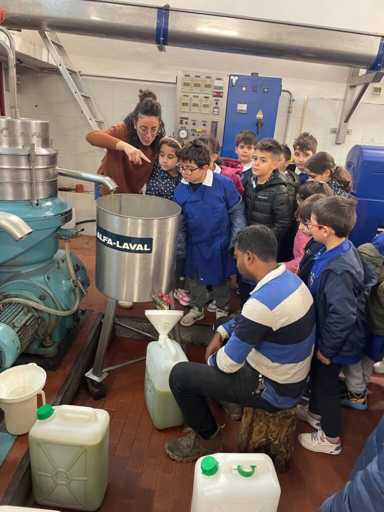I ragazzi dell’ I.VC.di Montemaggiore Belsito alla scoperta di come nasce l’olio