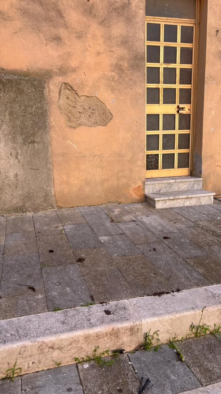 Un Appello lanciato dal presidente dell’ associazione cattolica di Montemaggiore Belsito, per il problema randagismo