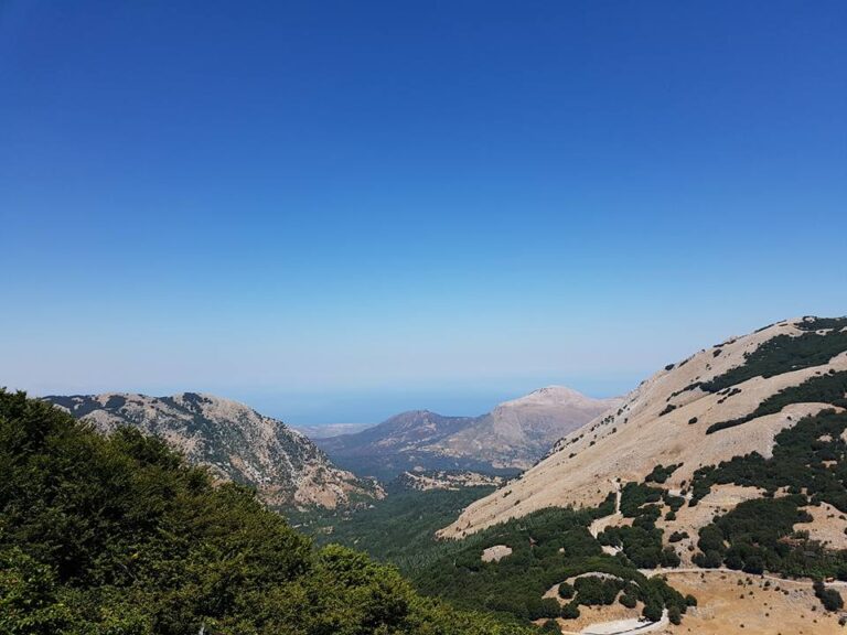 Giornata Internazionale della Montagna – 11 dicembre 2025