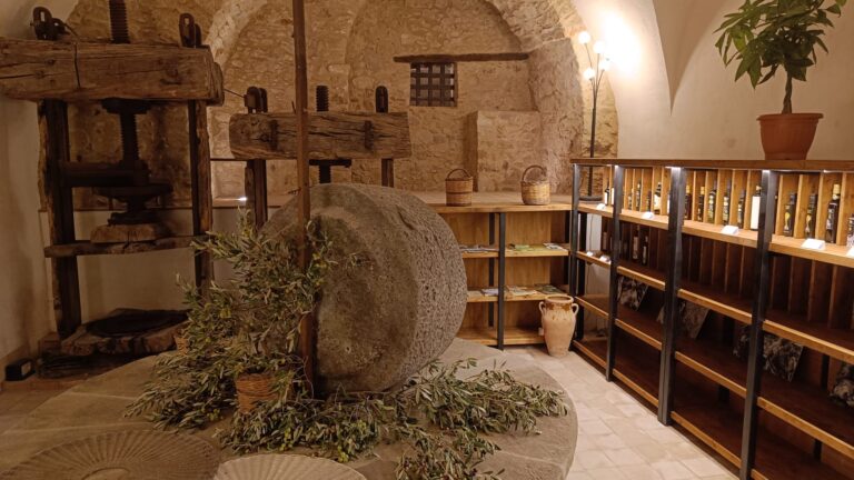 A San Mauro Castelverde nasce la “Banca dell’Olio delle Madonie”: un museo sensoriale nel cuore della Sicilia