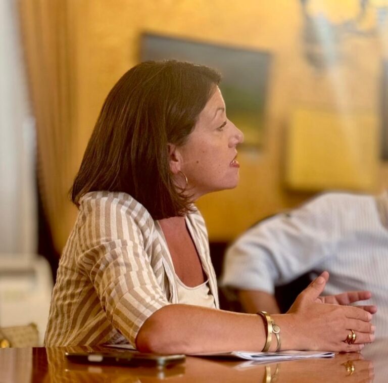 Palermo,sicurezza affidata ai privati? Di Gangi : “Un insulto alla città”
