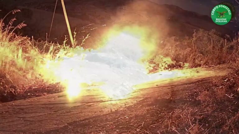 Incendi, denunciate quattro persone grazie a indagini del Corpo Forestale
