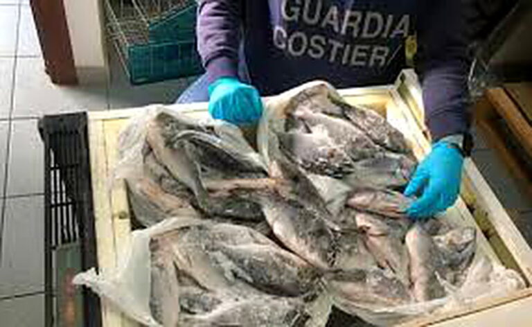 Capitaneria di Porto. Operazione “Fish” maxi-sequestro di pesce non tracciato