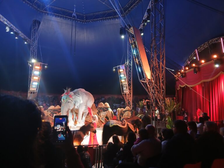 La Magia del Circo Maya Orfei Madagascar a Palermo
