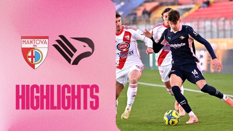 Mantova-Palermo 1-1