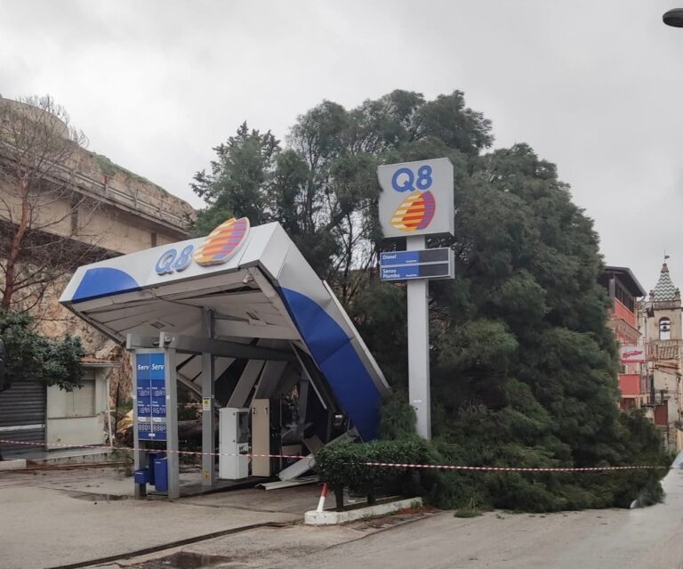 Maltempo,un albero cade su distributore di carburante a Borgetto
