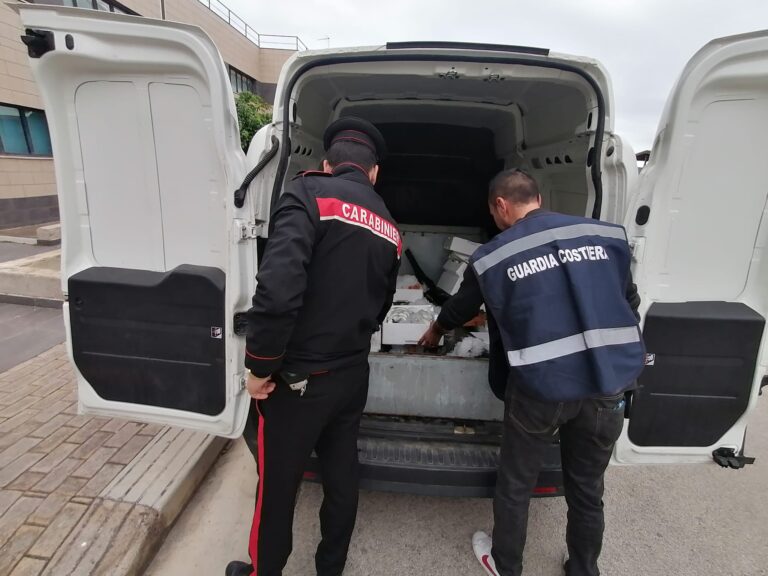 Controlli dei Carabinieri a Palermo – sequestrati 82 kg di pesce