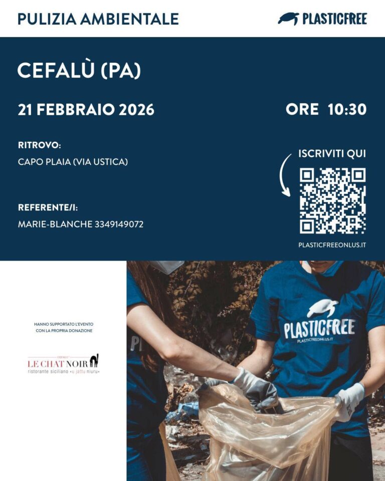 Plastic Free a Capo Playa