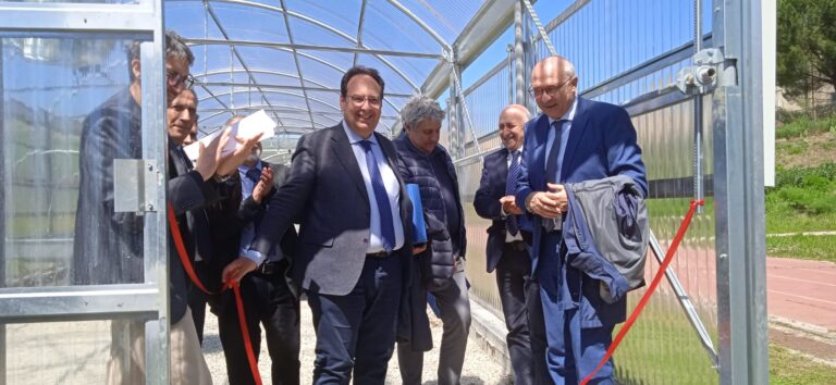 Gangi, finanziato dal Gal Madonie progetto innovativo per l’agricoltura rigenerativa
