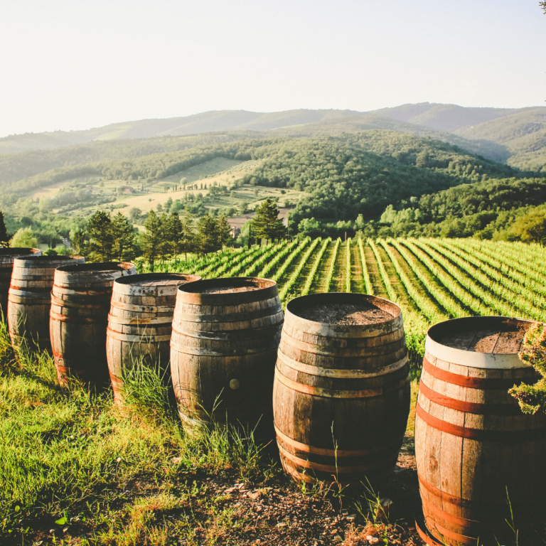 La Sicilia protagonista al Vinitaly con 164 cantine