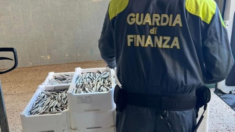 Guardia di Finanza. 4 quintali di pesce  sequestrati e dati in beneficenza