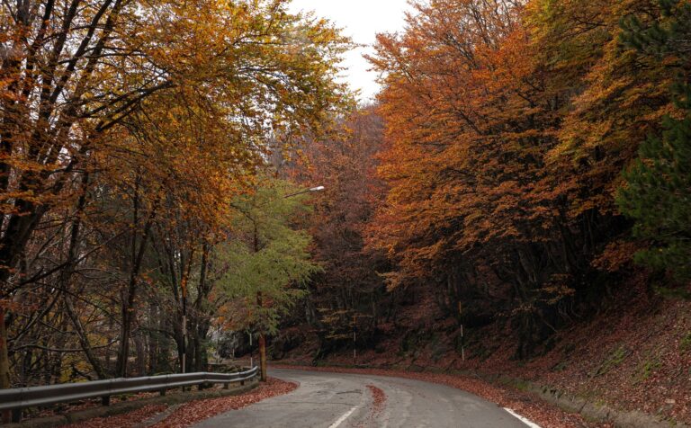 Sicilia pulita, quattro milioni per le strade extraurbane