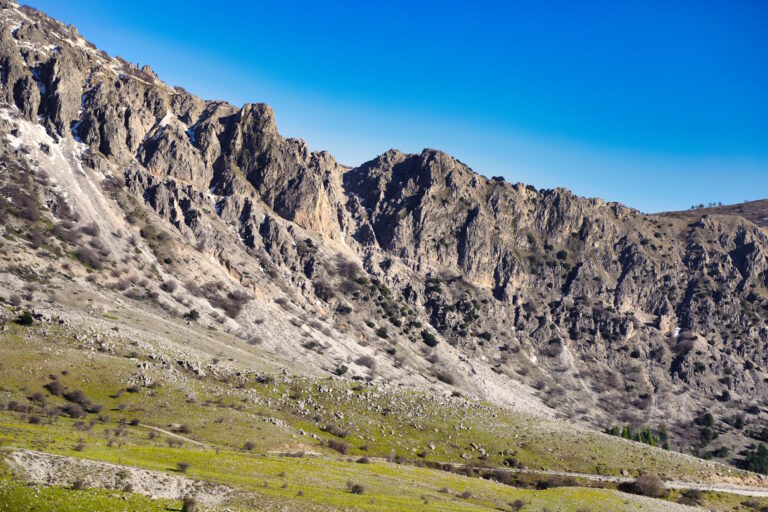 222 Selecontrollori per le attività di gestione della fauna selvatica nel Parco delle Madonie