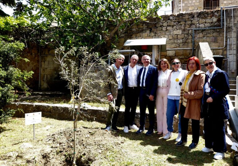 Un albero e una targa in ricordo del Prof.Giuseppe Torre
