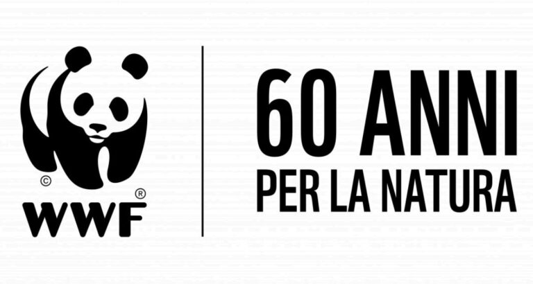WWF. Monitoraggi per le tartarughe marine. Coinvolti oltre 100 volontari e operatori