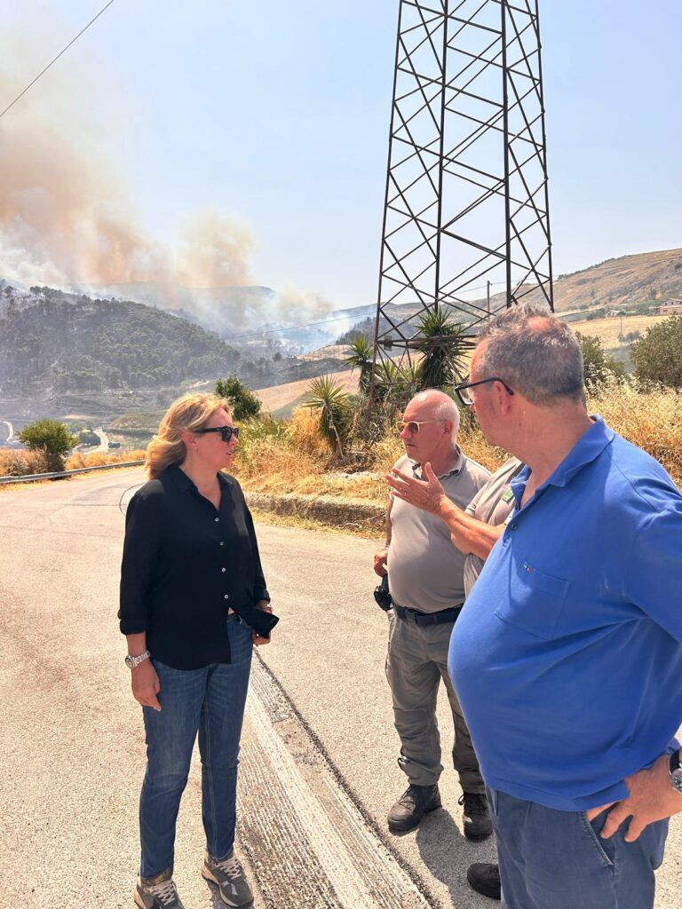 Incendi, l’assessore Savarino sui luoghi dei roghi: «Grazie a chi sta fronteggiando le fiamme. Ogni ettaro che brucia è una ferita per la Sicilia»