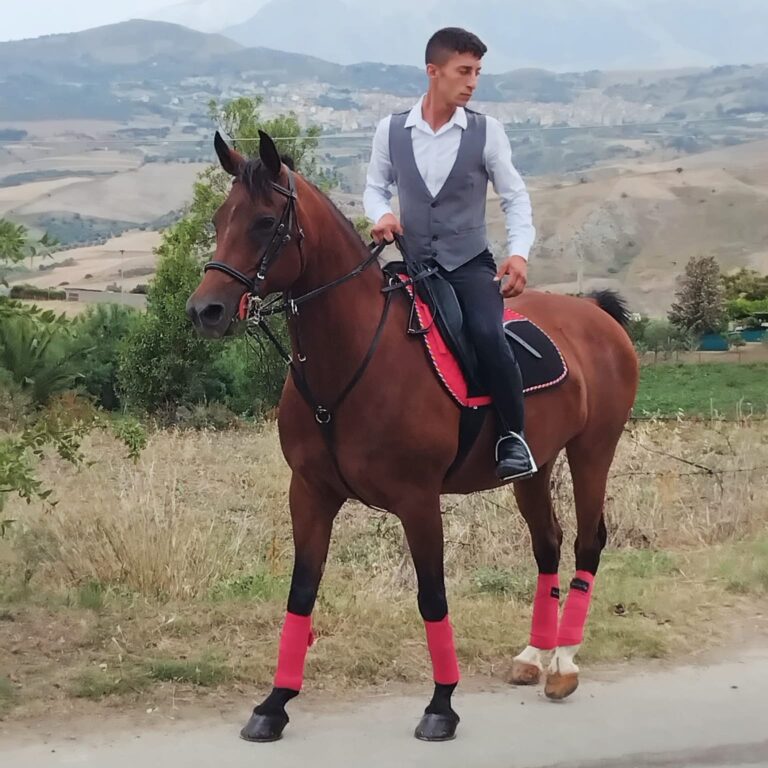 La partecipazione di Cerda alla Giostra dei Ventimiglia rafforza il legame tra i nostri territori:Claudio Noto rappresentera’  Cerda con la cavalla Amira
