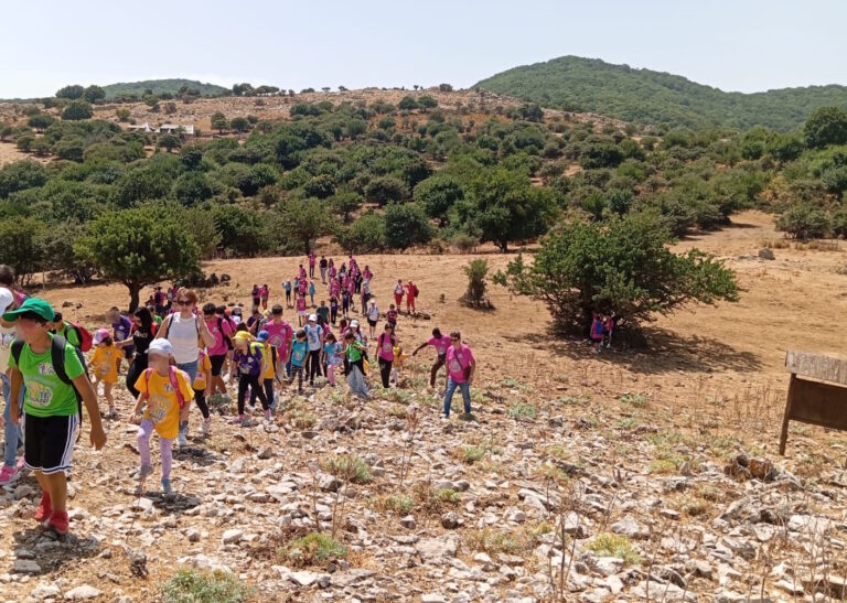Tra boschi e biodiversità: l’Estate Ragazzi di Castellana Sicula esplora il Parco delle Madonie