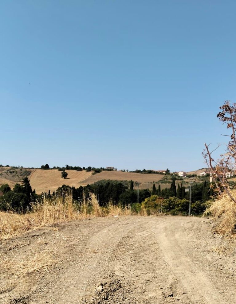 A CASTELLANA SICULA, DOPO OLTRE 40 ANNI TORNA LA MANUTENZIONE DELLA STRADA DI CONTRADA IPSI: RISPOSTA CONCRETA AGLI AGRICOLTORI