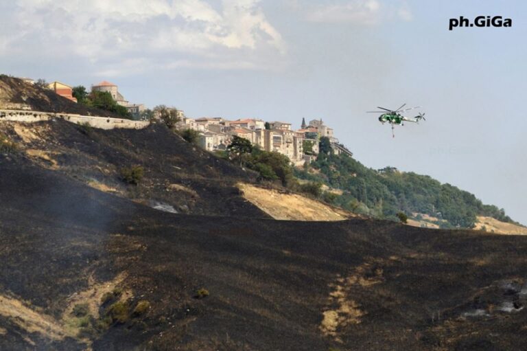 Incendi, 198 roghi in Sicilia nel fine settimana: mobilitati Canadair, elicotteri e Corpo forestale