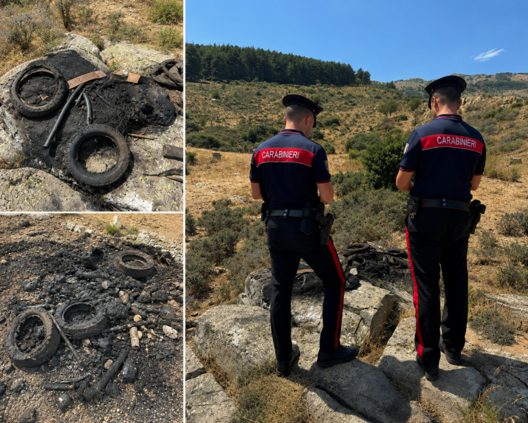 Carabinieri. Due denunciati per incendio nel Parco delle Madonie