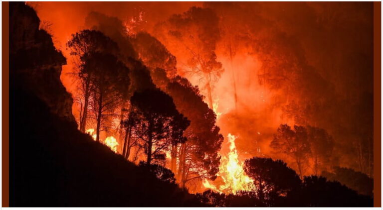 Incendio Polizzi. Il Vescovo affida il paese a San Gandolfo