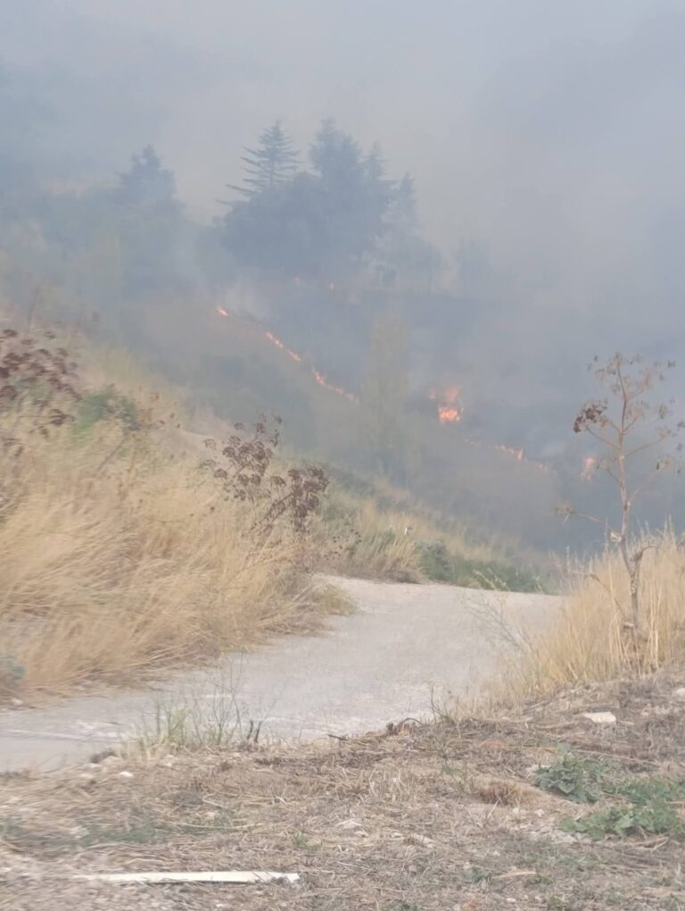 Incendi in Sicilia e la morte di Salvatore Giglia