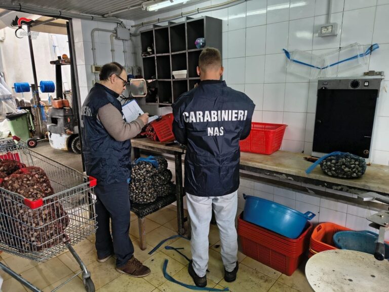 Carabinieri del NAS: sequestri e sanzioni per 34 mila euro