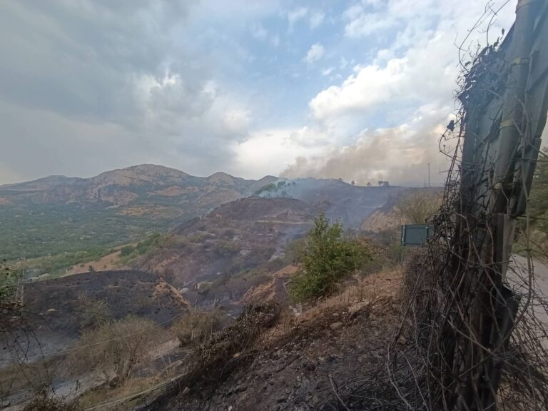 Incendi, Anci Sicilia: “Serve una strategia regionale più forte sulla prevenzione e la tutela dei territori”